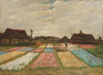 Blumenbeete in Holland / Blumenzwiebelfelder